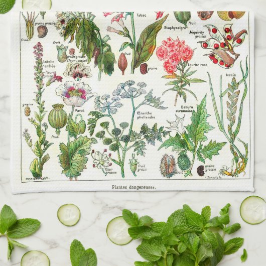 Botanische illustraties - Grote Planten Theedoek (Gevouwen)