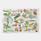 Botanische illustraties - Grote Planten Theedoek (Horizontaal)