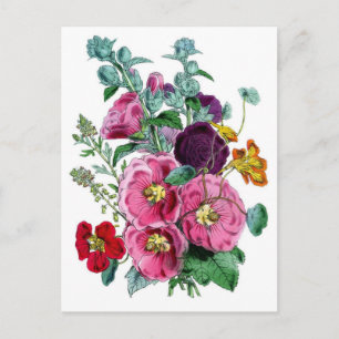 Botanische Illustraties Hollyhocks Briefkaart
