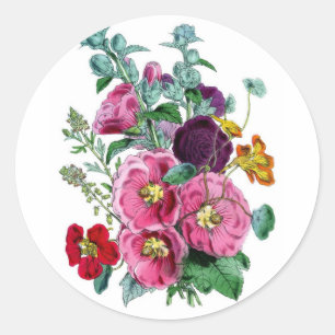 Botanische Illustraties Hollyhocks Ronde Sticker