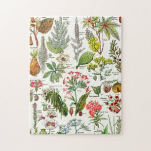 Botanische illustraties Jigzaag Puzzle Legpuzzel