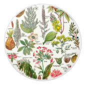 Botanische illustraties keramische knop (Voorkant)