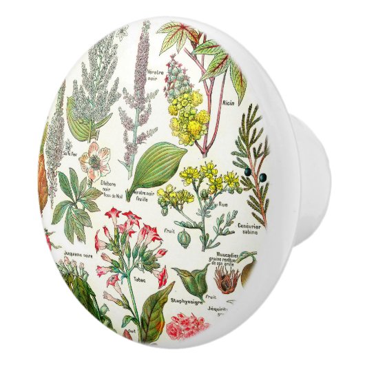 Botanische illustraties keramische knop (Rechts)