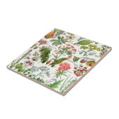 Botanische illustraties Keramische Tegel Tegeltje (Zijkant)