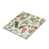 Botanische illustraties Keramische Tegel Tegeltje (Zijkant)