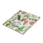 Botanische illustraties Keramische Tegel Tegeltje (Zijkant)