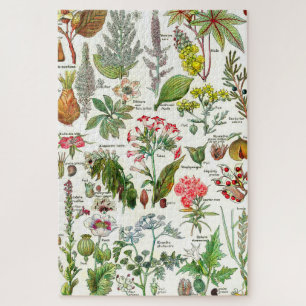 Botanische illustraties legpuzzel