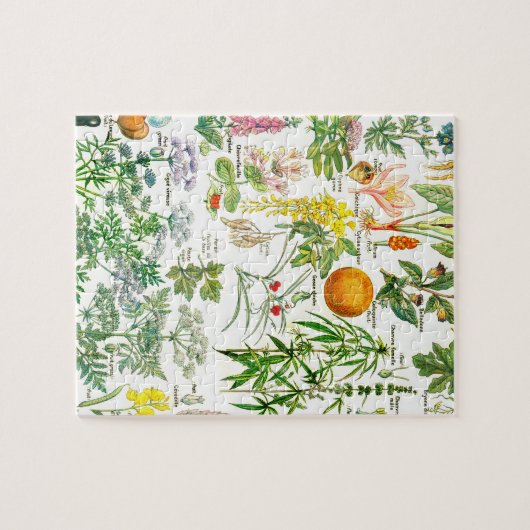 Botanische illustraties legpuzzel (Horizontaal)