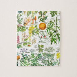 Botanische illustraties legpuzzel