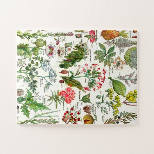 Botanische illustraties legpuzzel (Horizontaal)