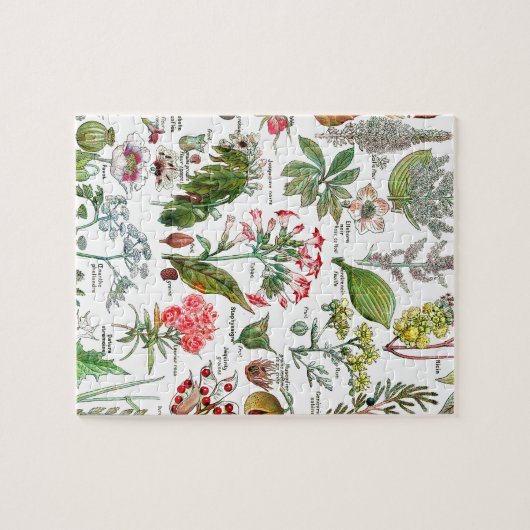 Botanische illustraties legpuzzel (Horizontaal)