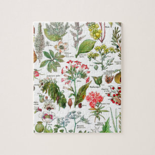 Botanische illustraties legpuzzel