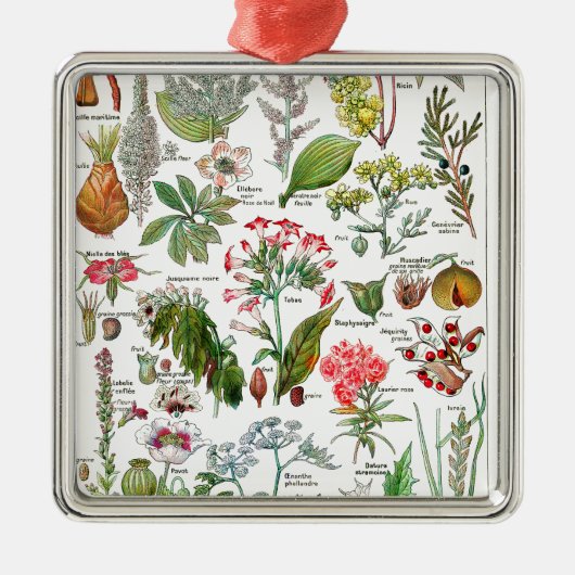 Botanische illustraties metalen ornament (Voorkant)