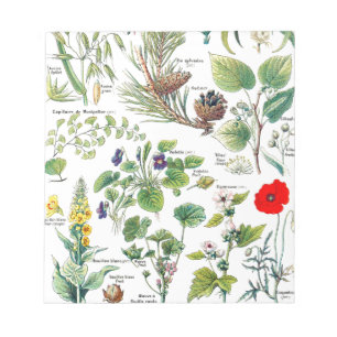 Botanische illustraties notitieblok