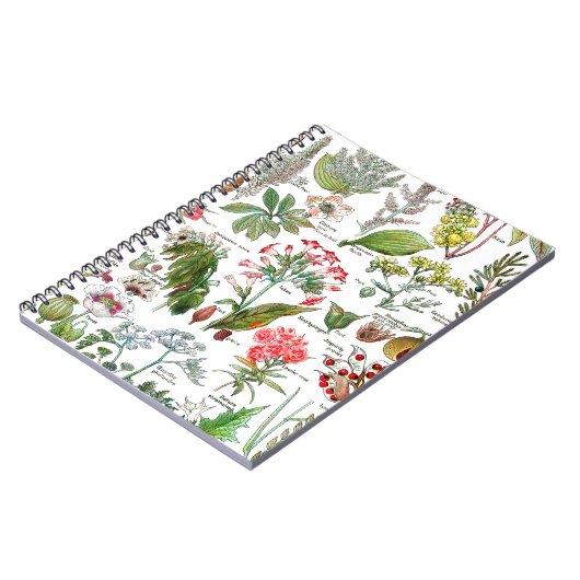 Botanische illustraties notitieboek (Linkerzijde)