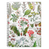 Botanische illustraties notitieboek (Voorkant)