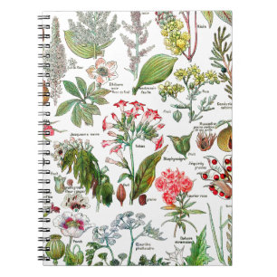 Botanische illustraties notitieboek