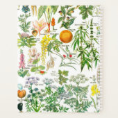 Botanische illustraties planner (Achterkant)