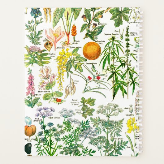 Botanische illustraties planner (Achterkant)