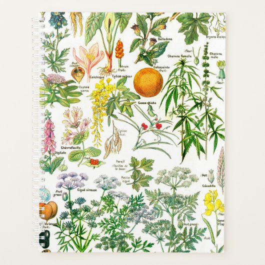 Botanische illustraties planner (Voorkant)