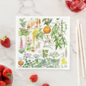 Botanische illustraties servet (Insitu)