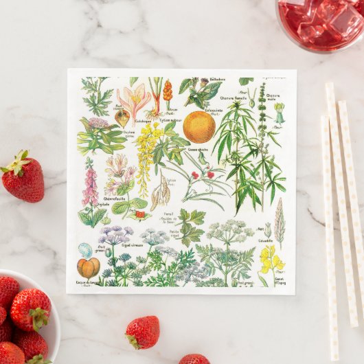 Botanische illustraties servet (Insitu)