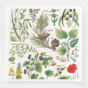 Botanische illustraties servet