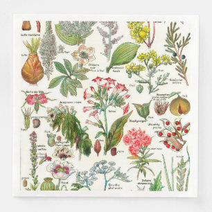 Botanische illustraties servet