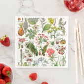 Botanische illustraties servet (Insitu)