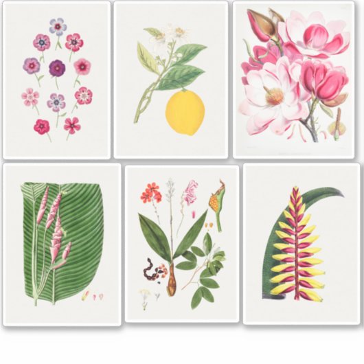 Botanische illustraties sticker (Voorkant)