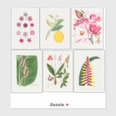 Botanische illustraties sticker (Vel)