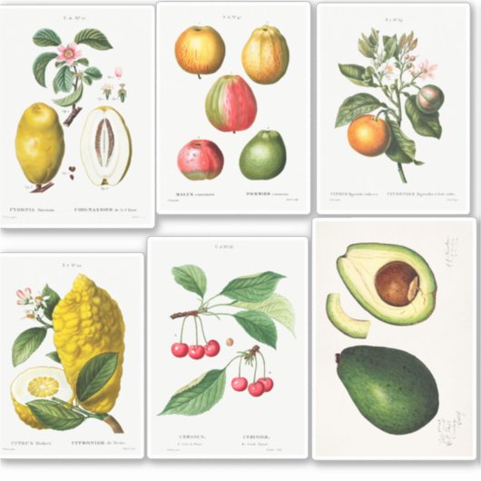 Botanische illustraties sticker (Voorkant)