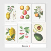 Botanische illustraties sticker (Vel)