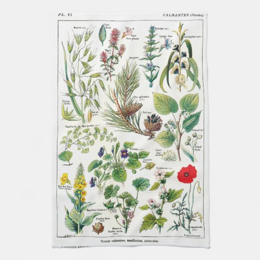 Botanische illustraties theedoek (Verticaal)