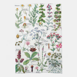  botanische illustraties theedoek