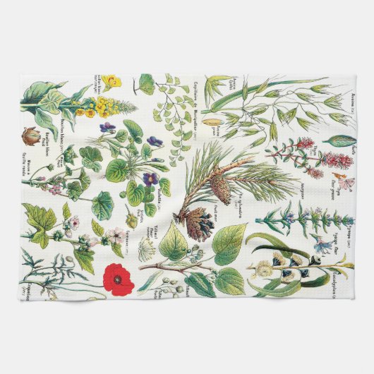  botanische illustraties theedoek (Horizontaal)