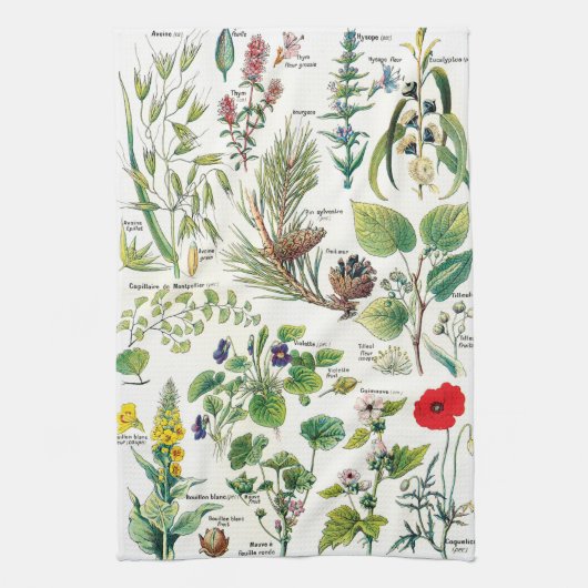  botanische illustraties theedoek (Verticaal)