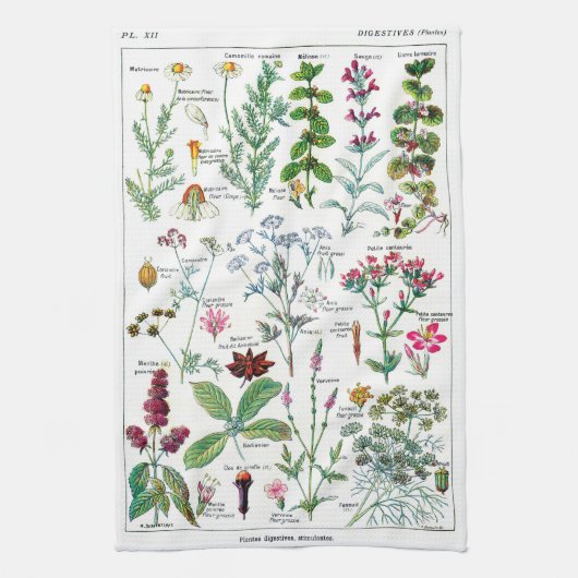 Botanische illustraties theedoek (Verticaal)