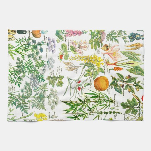  botanische illustraties theedoek (Horizontaal)