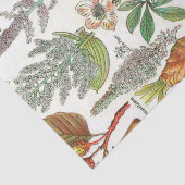 Botanische illustraties tissuepapier (Detail)