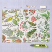 Botanische illustraties tissuepapier (Craft)