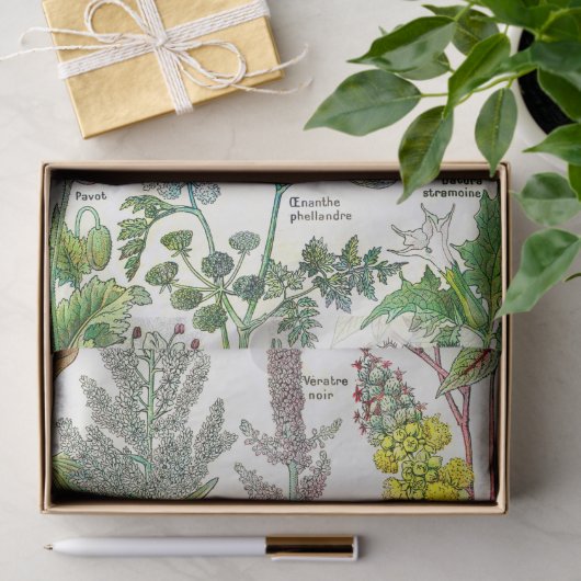 Botanische illustraties tissuepapier (Geschenk)