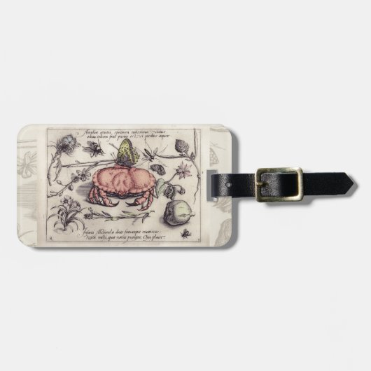 Botanische Insect Flower Illustration van krab Bagagelabel (Voorkant horizontaal)