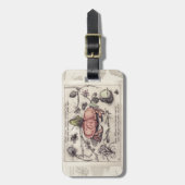 Botanische Insect Flower Illustration van krab Bagagelabel (Voorkant verticaal)