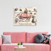 Botanische Insect Flower Illustration van krab Canvas Afdruk (Insitu (Woonkamer))
