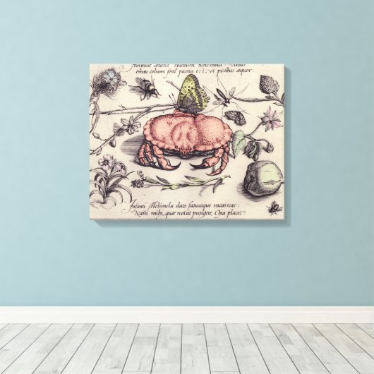 Botanische Insect Flower Illustration van krab Canvas Afdruk (Insitu (Houten vloer))