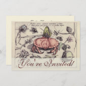 Botanische Insect Flower Illustration van krab Kaart (Voorkant / Achterkant)