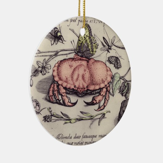 Botanische Insect Flower Illustration van krab Keramisch Ornament (Rechts)