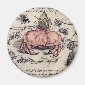 Botanische Insect Flower Illustration van krab Magneet (Voorkant)