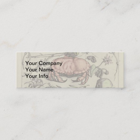 Botanische Insect Flower Illustration van krab Mini Visitekaartje (Voorkant)